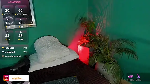 Snapshot of Anne_Babb chatting on February 15, 4:47 am Anne Babb online show from February 15, 4:47 am