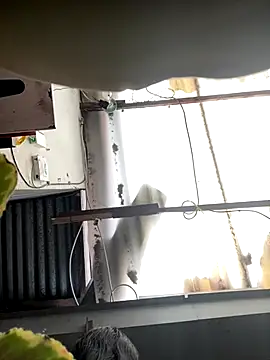 luna asss online show from October 25, 7:30 pm