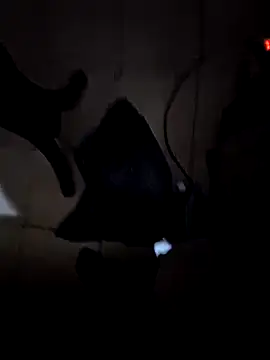 Snapshot of everyoneneeds chatting on December 26, 7:03 am everyoneneeds online show from December 26, 7:03 am