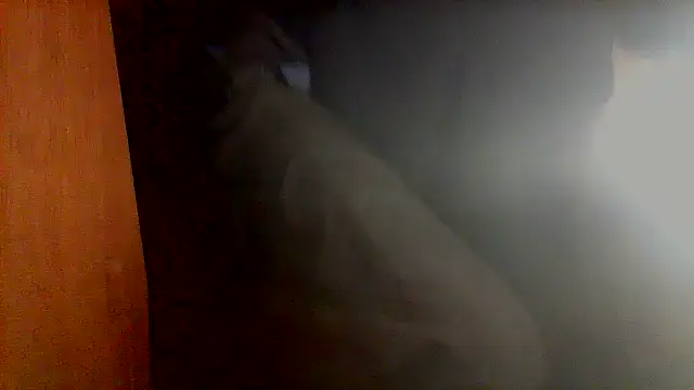 nice6incs online show from November 5, 11:05 pm