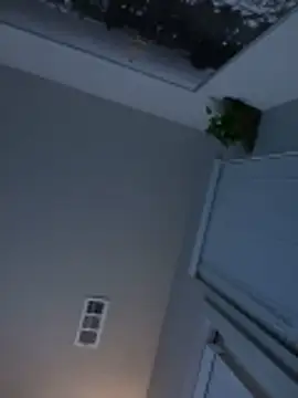 goldbuni online show from November 17, 12:11 pm