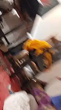 Snapshot of emma_neko chatting on November 22, 6:40 pm emma neko online show from November 22, 6:40 pm