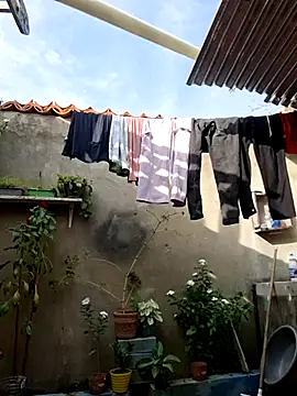 room 24funn online show from January 10, 8:32 pm