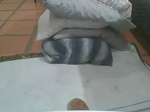 Snapshot of MrPatrick777 chatting on February 4, 3:56 am MrPatrick777 online show from February 4, 3:56 am