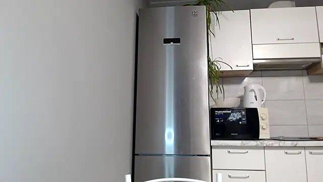 Snapshot of SierraSky_ chatting on January 30, 6:10 pm SierraSky online show from January 30, 6:10 pm