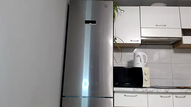 Snapshot of SierraSky_ chatting on October 13, 5:13 pm SierraSky online show from October 13, 5:13 pm