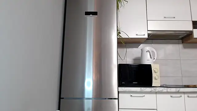 Snapshot of SierraSky_ chatting on December 4, 6:16 pm SierraSky online show from December 4, 6:16 pm