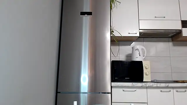 Snapshot of SierraSky_ chatting on December 5, 6:15 pm SierraSky online show from December 5, 6:15 pm