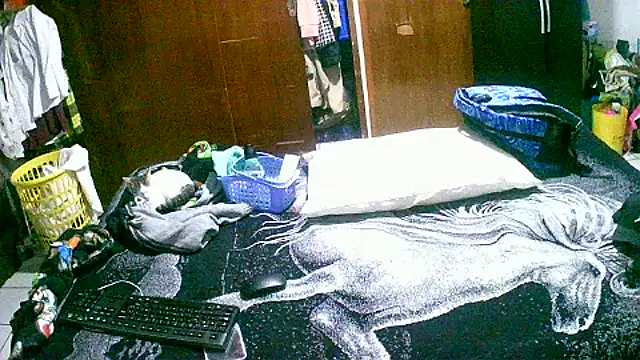 Snapshot of jperezofficial1 chatting on September 13, 9:42 am jperezofficial1 online show from September 13, 9:42 am