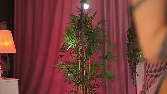 Evelyn Evyyy online show from February 9, 7:19 pm