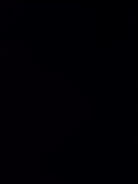 Snapshot of chatting on April 6, 5:03 pm online show from April 6, 5:03 pm