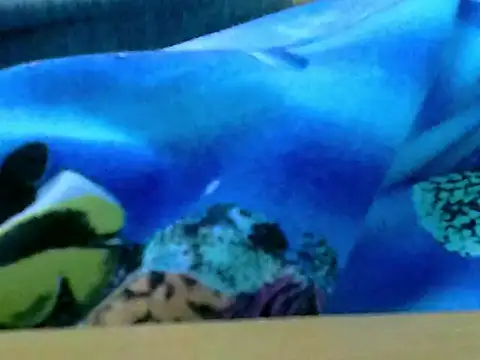 zhan7965 online show from December 30, 1:03 pm