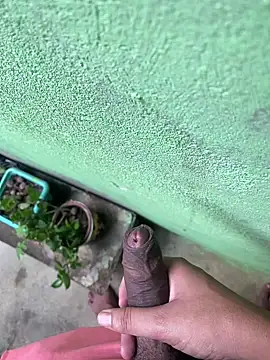 king cum  online show from December 26, 12:16 pm