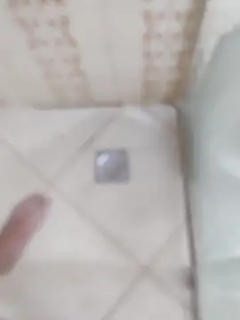 Snapshot of carvalhesco chatting on December 16, 3:33 am carvalhesco online show from December 16, 3:33 am