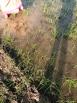 Snapshot of hairipussy2 chatting on February 7, 10:29 am hairipussy2 online show from February 7, 10:29 am