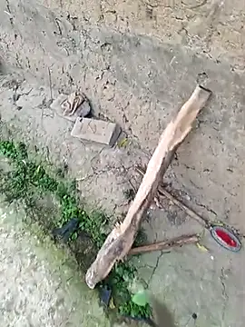 Snapshot of hairipussy2 chatting on March 4, 12:50 am hairipussy2 online show from March 4, 12:50 am