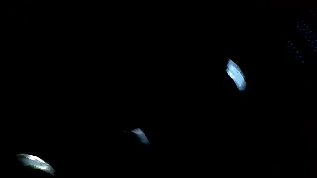 Antoniothedon online show from January 16, 3:02 pm