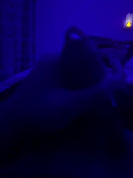 thecockybouy online show from March 2, 1:36 am