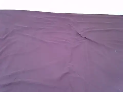 tasty piee online show from November 7, 3:17 am