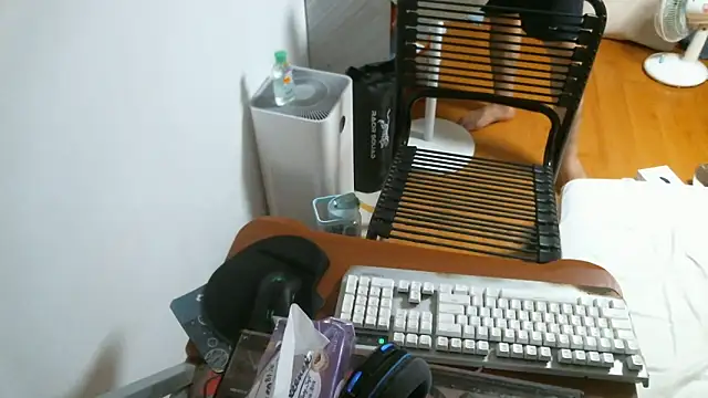 Snapshot of Stellan_0412 chatting on February 13, 5:31 pm Stellan 0412 online show from February 13, 5:31 pm