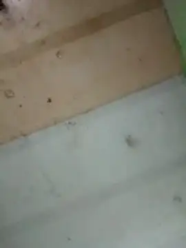 Snapshot of Alonsomadeira chatting on February 10, 11:53 pm Alonsomadeira online show from February 10, 11:53 pm