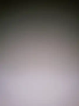 Dorset8360 online show from January 10, 5:02 pm