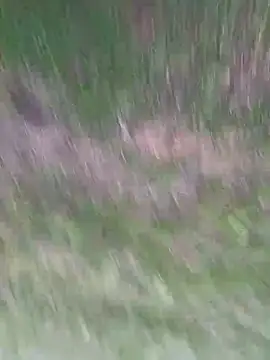 Vanesskaa online show from April 1, 3:09 pm