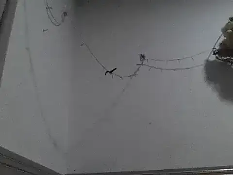 Snapshot of pedrodavid_ chatting on December 8, 12:18 am pedrodavid online show from December 8, 12:18 am