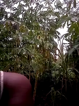 Sherry she online show from October 9, 3:26 am