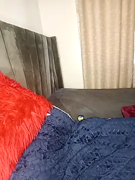 Golden diver online show from November 24, 8:14 am