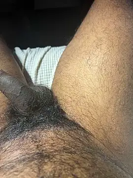 Snapshot of carlossdfr chatting on December 2, 11:29 pm carlossdfr online show from December 2, 11:29 pm