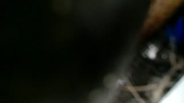 Gigadickman online show from December 2, 11:40 pm