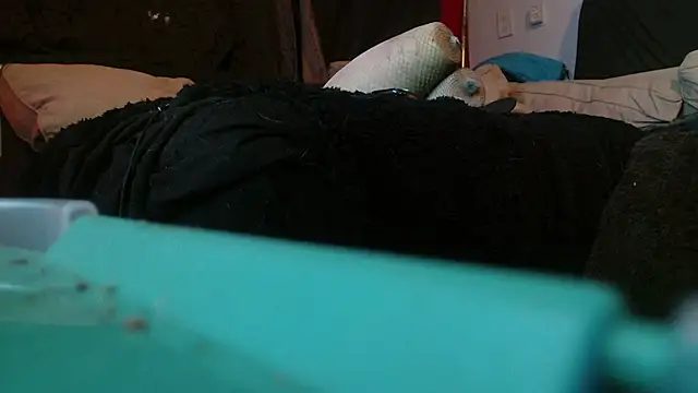 Gigadickman online show from January 15, 2:17 am