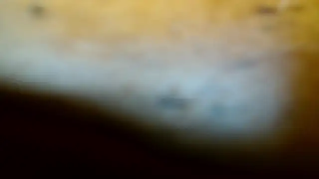 Gigadickman online show from February 9, 11:57 pm