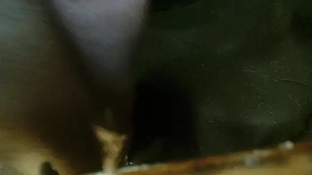 Gigadickman online show from October 4, 2:31 am