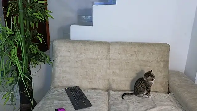 Lorenne Miller online show from October 20, 3:29 am