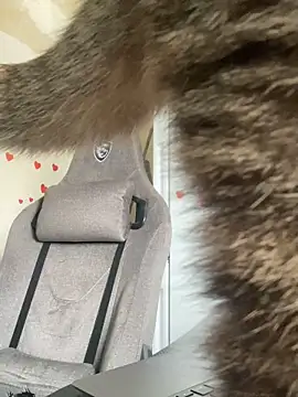 GraceTorrez online show from March 21, 6:05 am