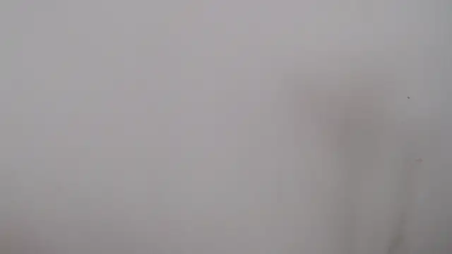 leoytessa 10 online show from December 5, 9:17 pm