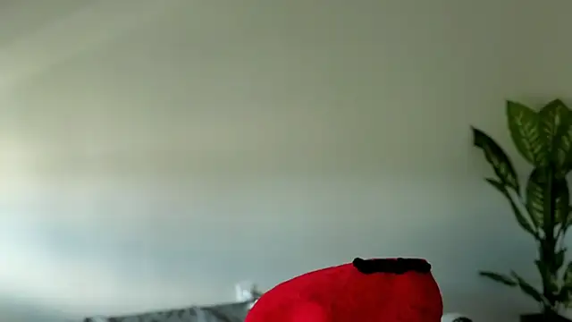 Sapphir3xoxo online show from September 24, 3:15 pm