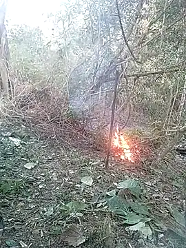 andreu mature online show from February 26, 10:42 pm