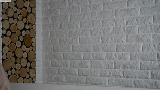 Snapshot of LowOncoming chatting on February 20, 6:26 am LowOncoming online show from February 20, 6:26 am