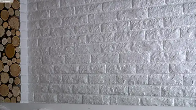 Snapshot of LowOncoming chatting on March 10, 1:10 am LowOncoming online show from March 10, 1:10 am