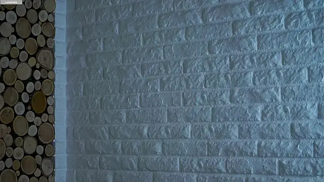 Snapshot of LowOncoming chatting on March 15, 2:06 am LowOncoming online show from March 15, 2:06 am