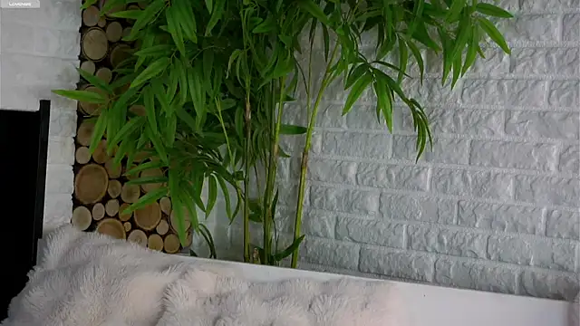 Snapshot of LowOncoming chatting on March 25, 1:55 am LowOncoming online show from March 25, 1:55 am