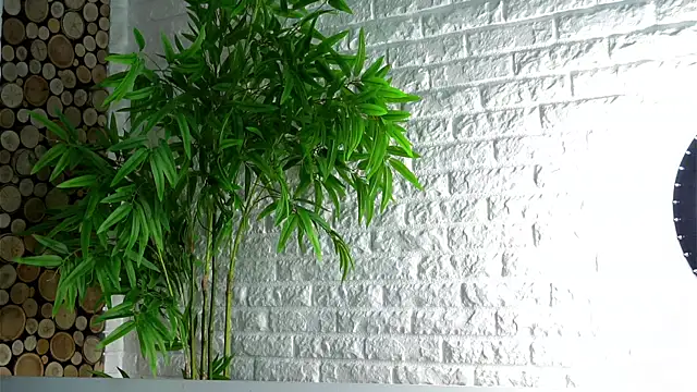 Snapshot of LowOncoming chatting on April 8, 2:11 am LowOncoming online show from April 8, 2:11 am