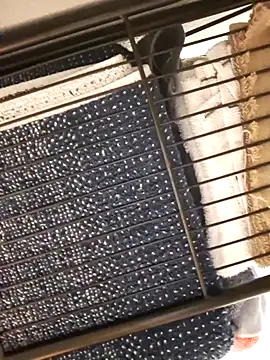 bigdickdaddy2184 online show from January 28, 8:14 am