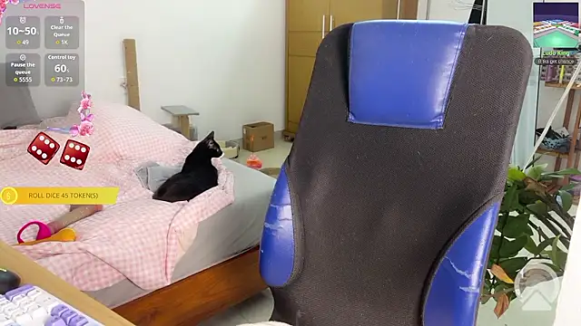 ashy 7999 online show from March 14, 12:43 pm