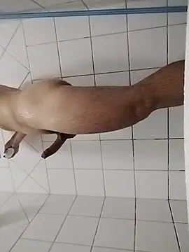 Snapshot of ToddynhoDuck chatting on February 13, 3:07 am ToddynhoDuck online show from February 13, 3:07 am