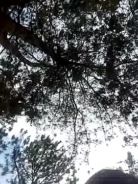 Sofia xx2 online show from February 27, 8:50 am