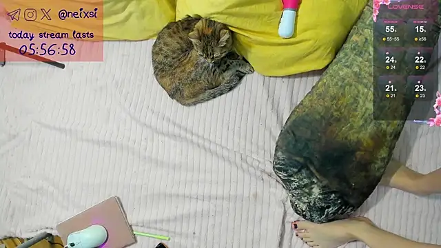 Snapshot of ixsi chatting on October 23, 7:40 am ixsi online show from October 23, 7:40 am